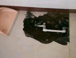 广饶卫生间测漏水多少钱
